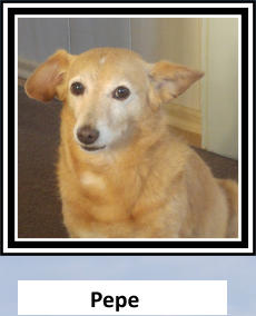 Pepe