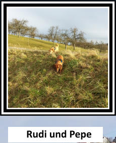 Rudi und Pepe