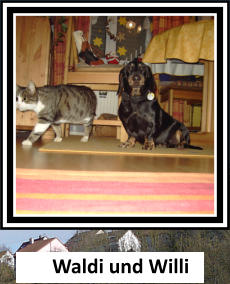Waldi und Willi